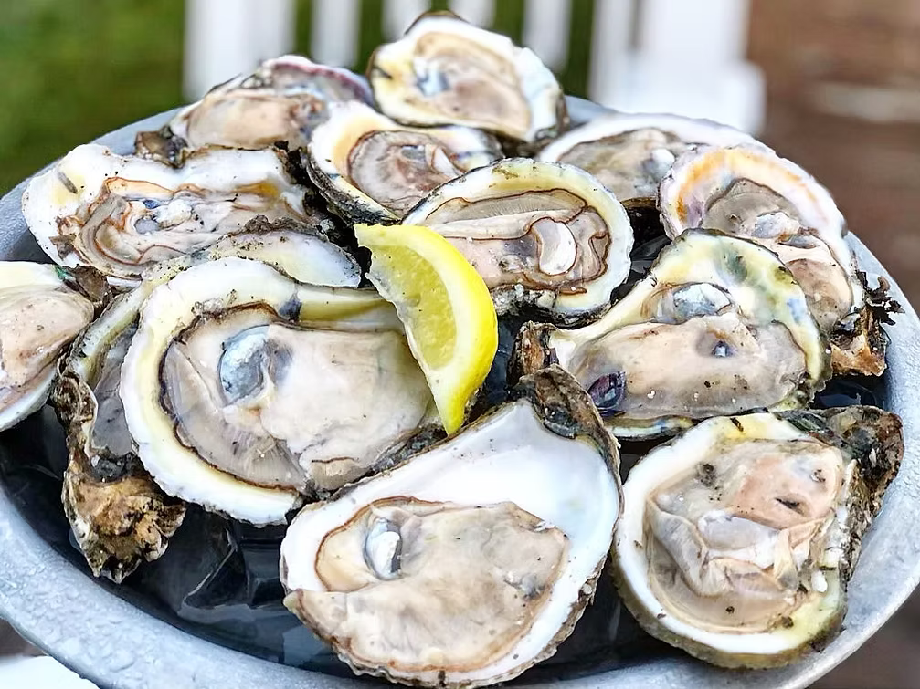 wahoo oysters